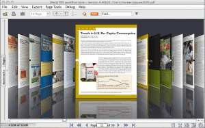 Pageflow view of a PDF file