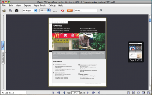 single thumbnail view of PDF file