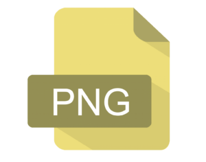 PNG icon