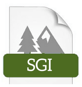 SGI Image