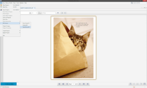NetBeans PDF Viewer plugin